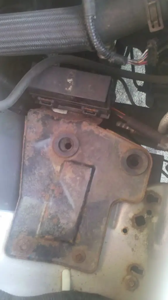 2011-06-19_19-11-27_144.jpg