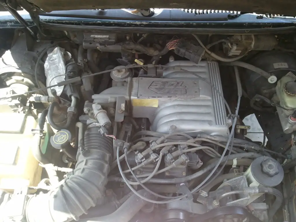 2011-08-11140637.jpg