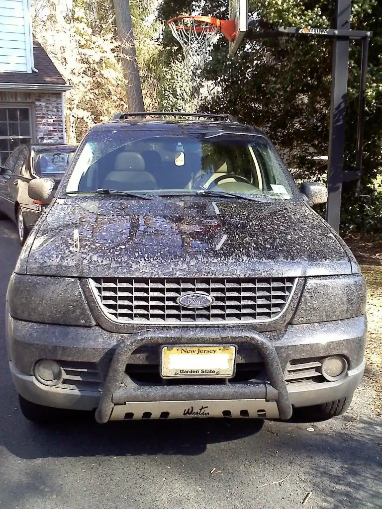 20110312095409.jpg
