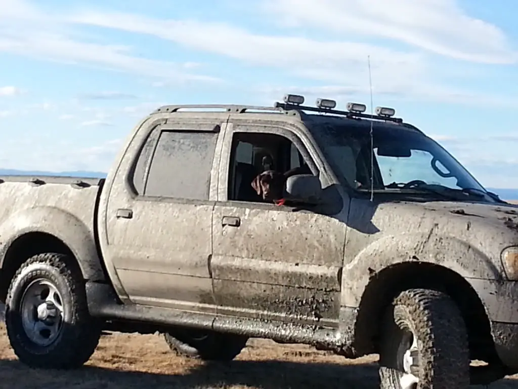 20121103_1549131.jpg