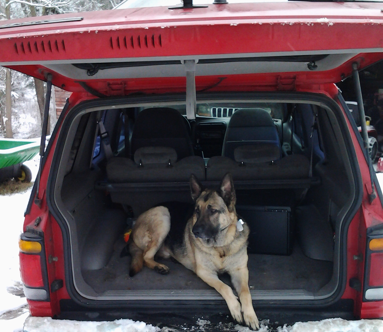 20150126_131523_edited.jpg