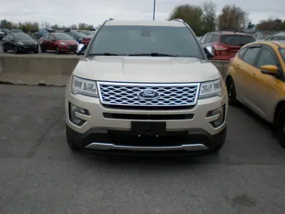 2017 Platinum7.JPG