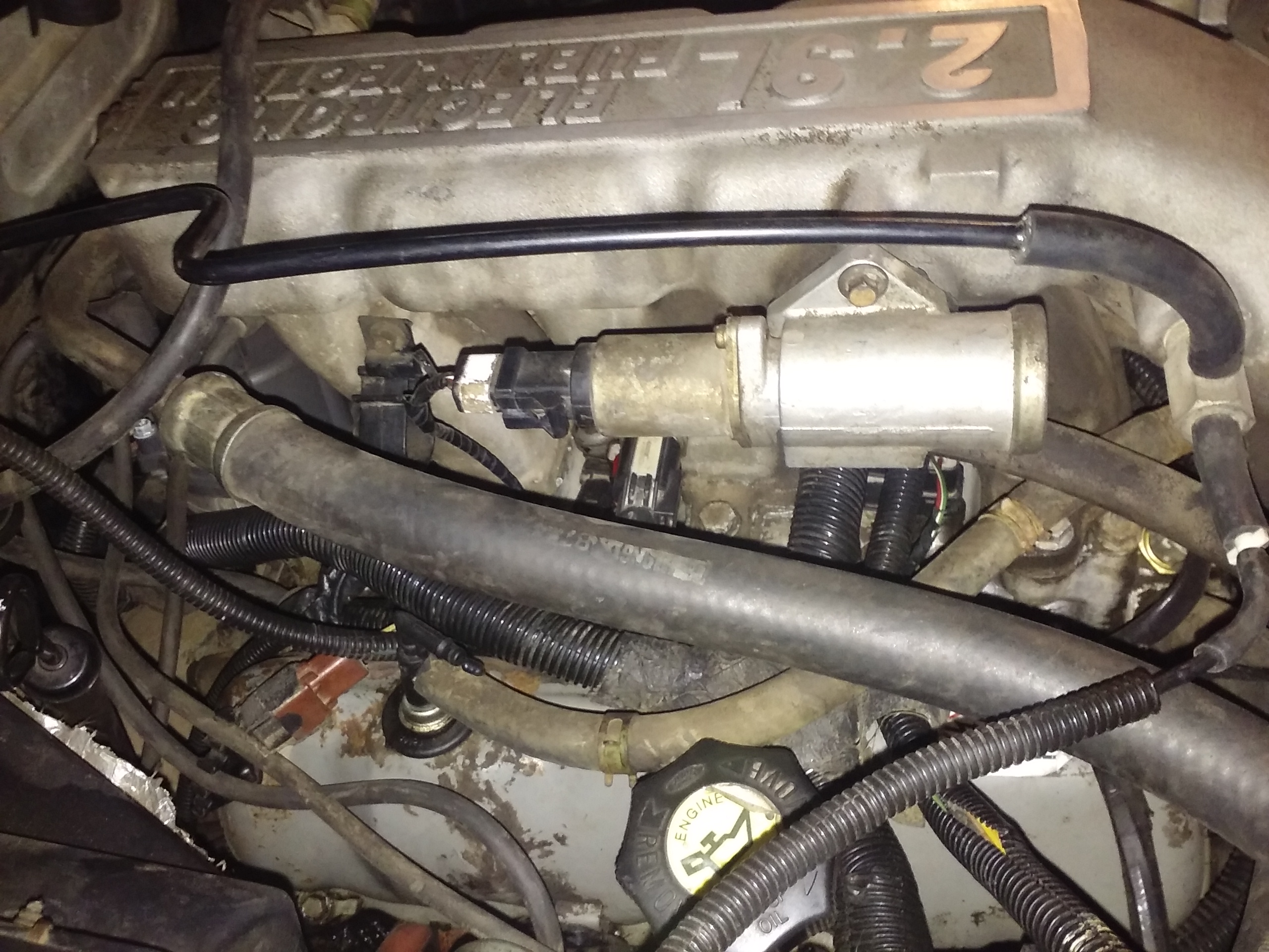 20170306_123235.jpg