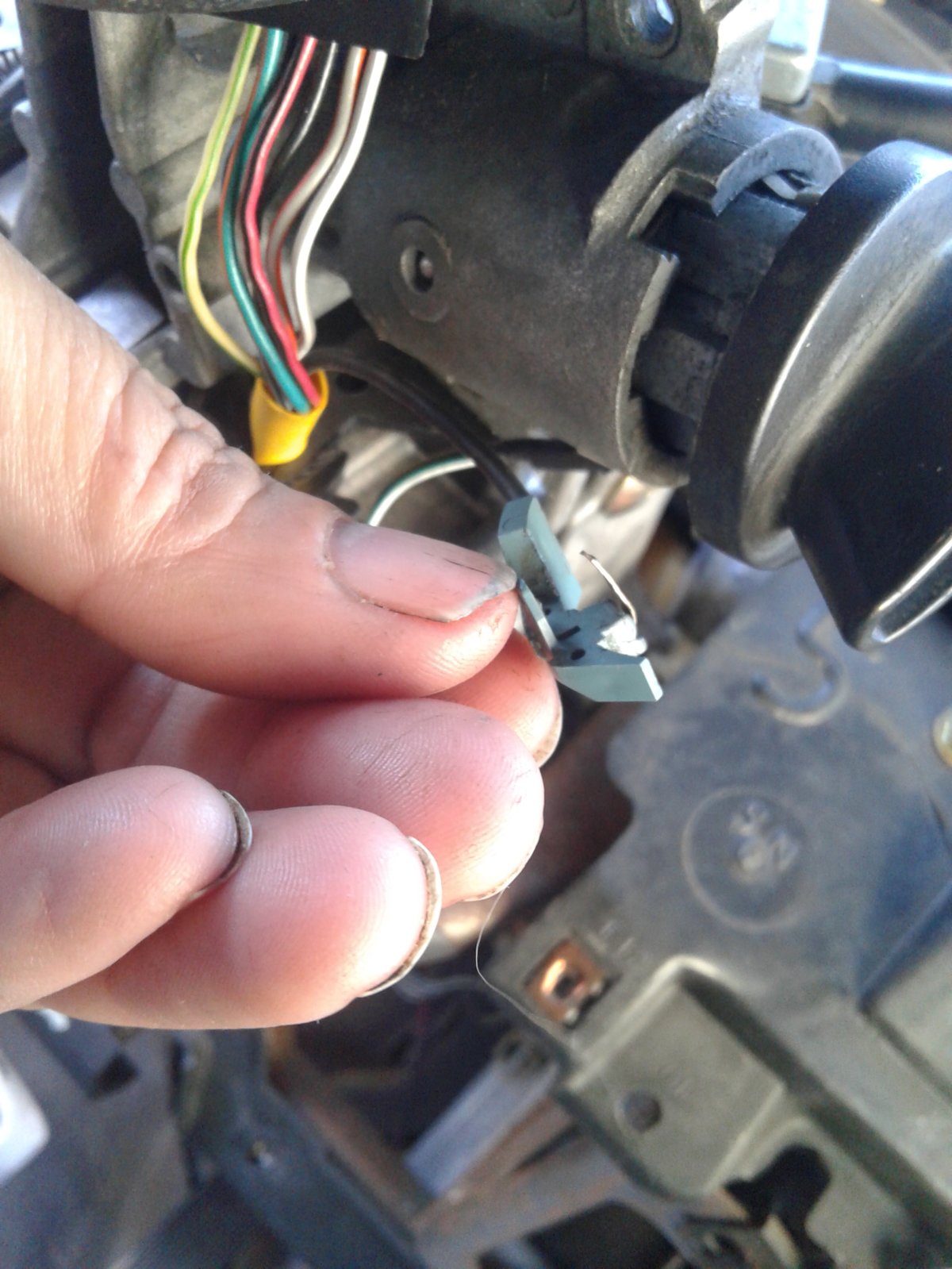 20171026_135611.jpg