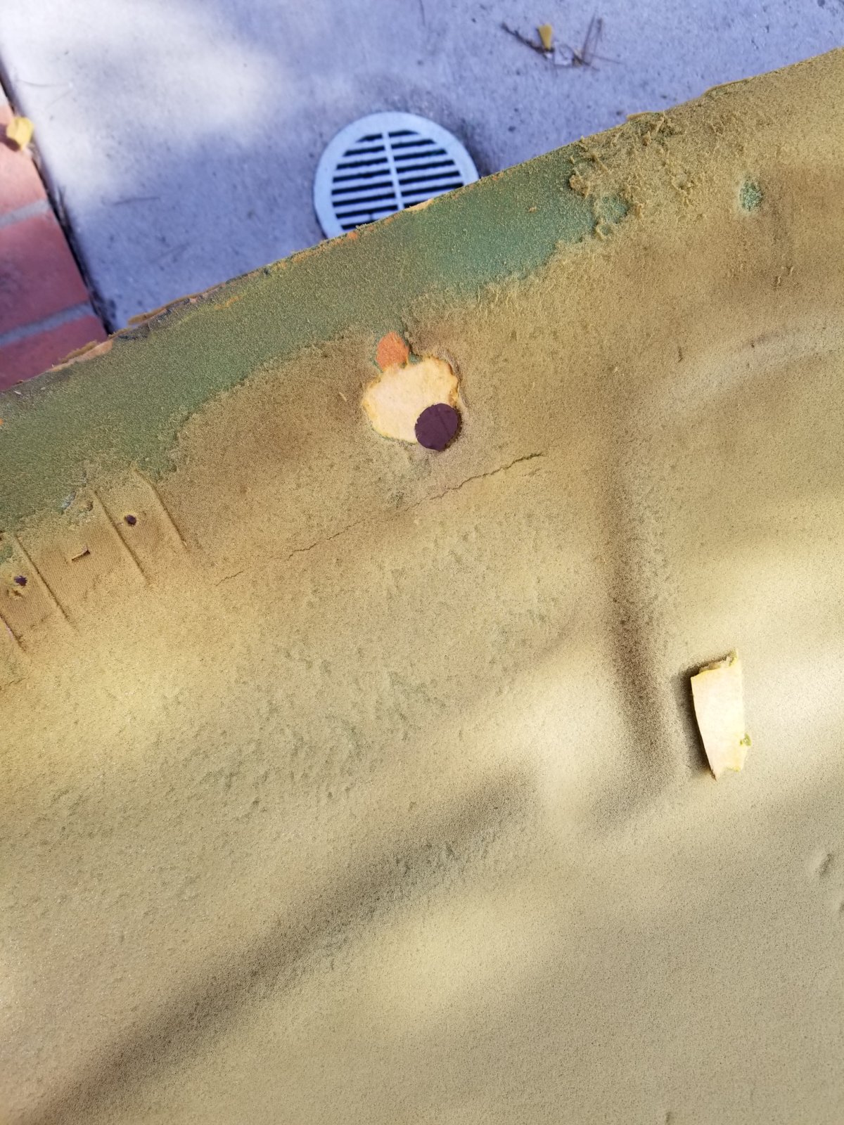 20171204_103426.jpg