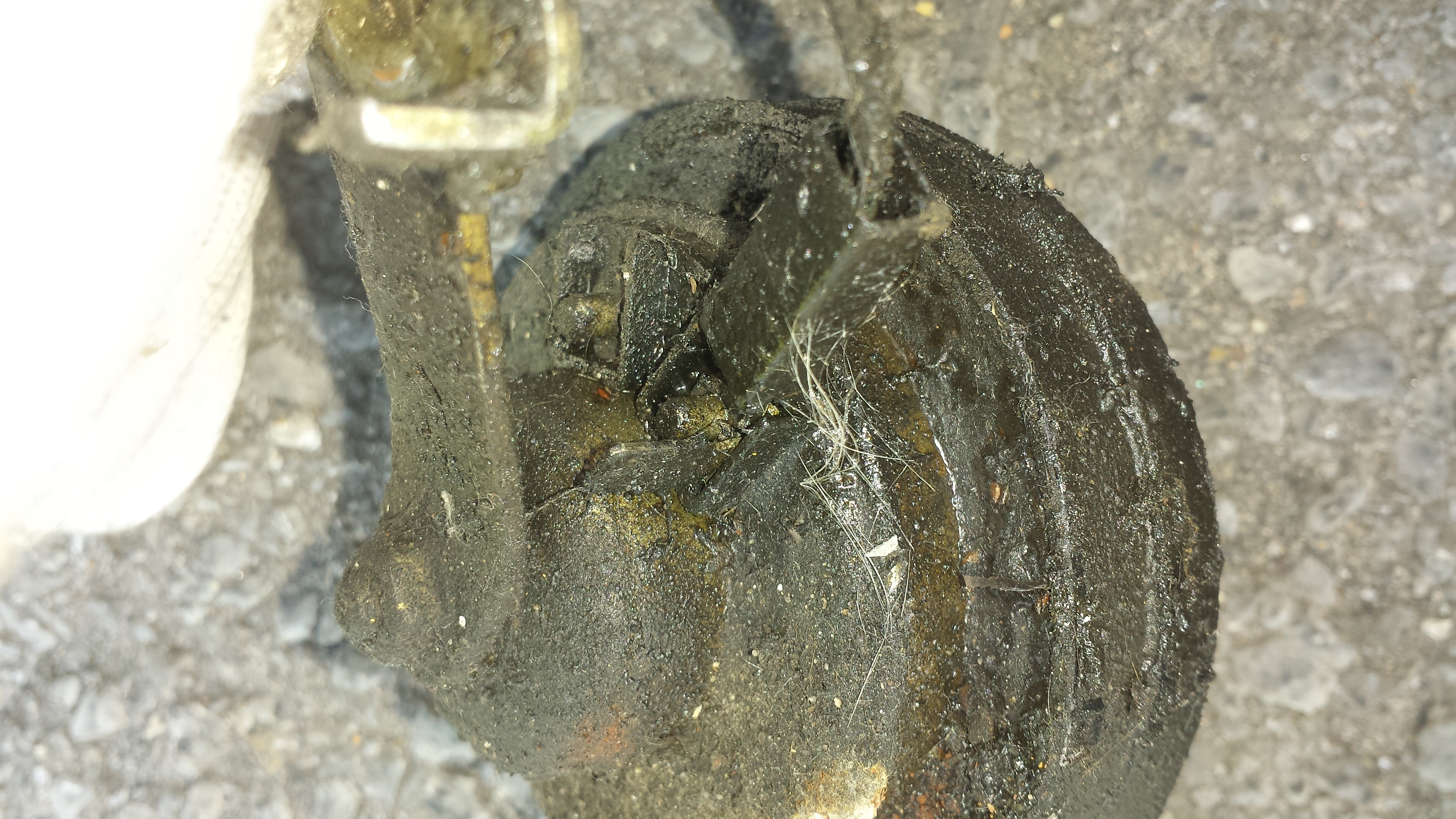 20180306_142715.jpg