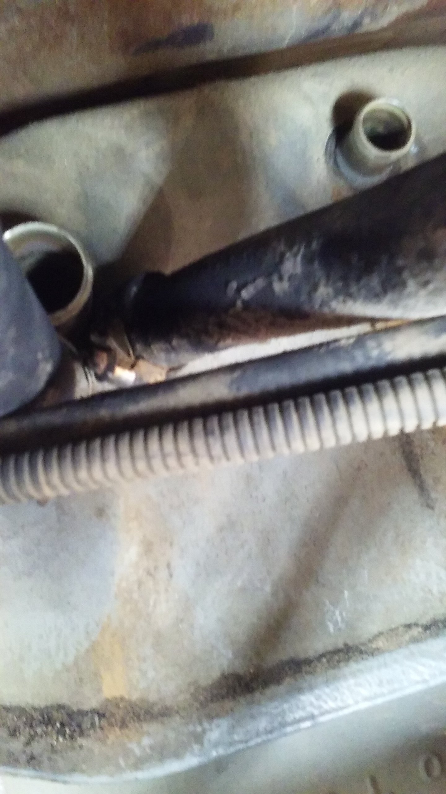 20180420_173618.jpg