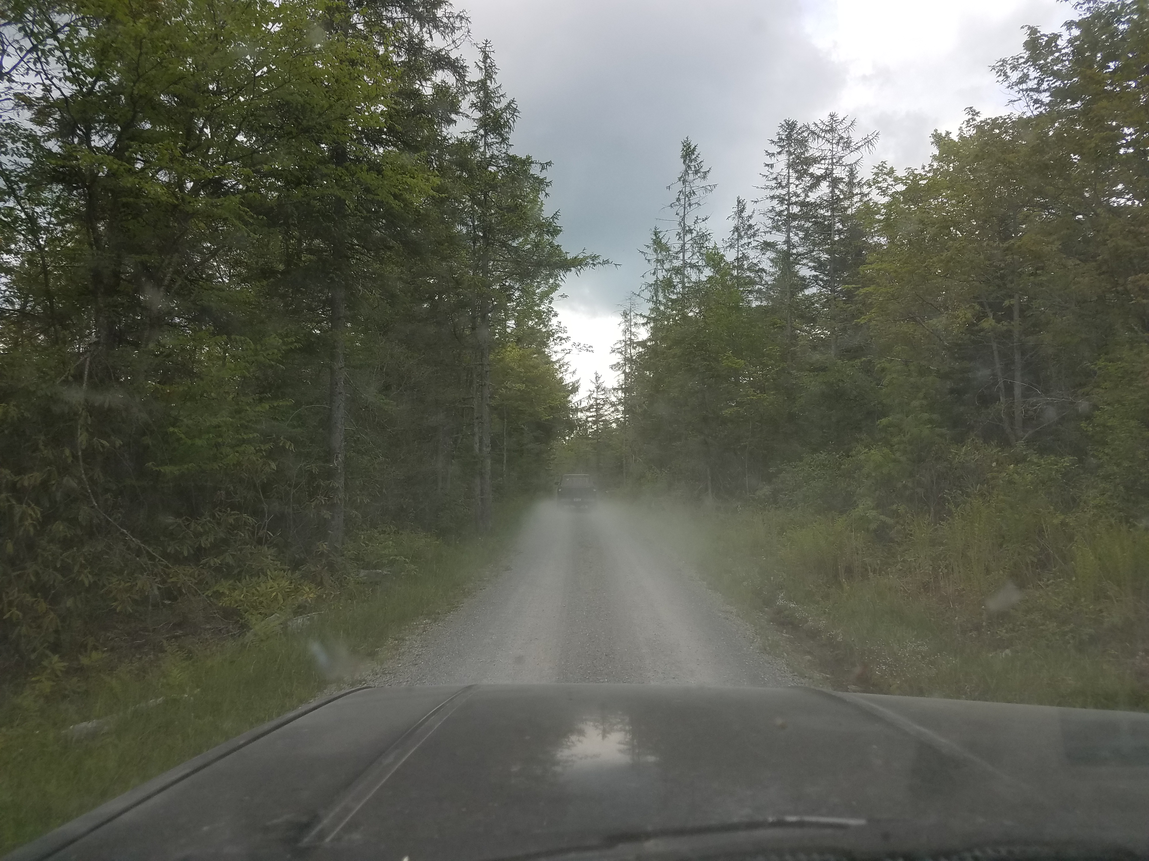 20180527_175631.jpg
