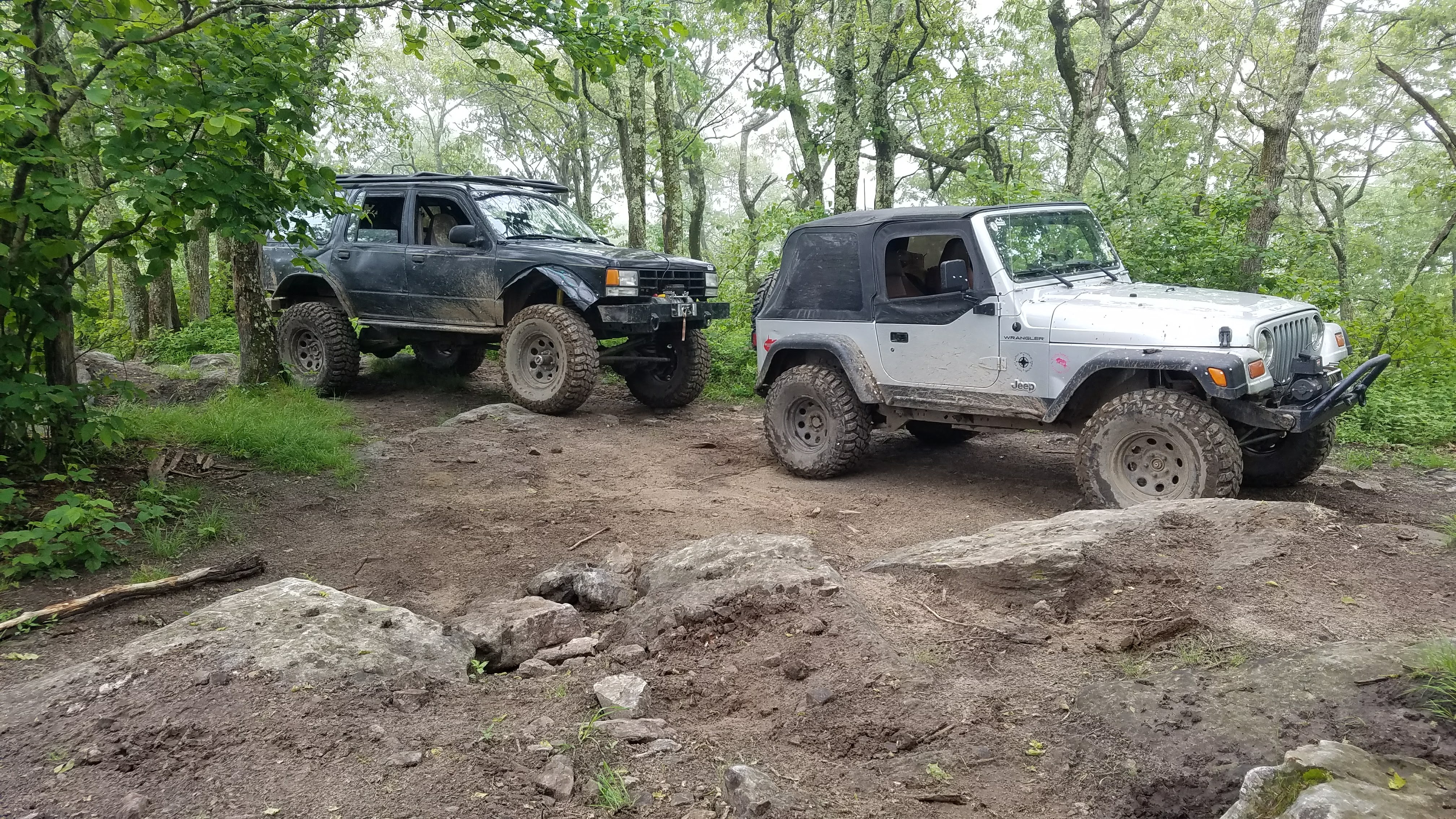 20180529_151732.jpg