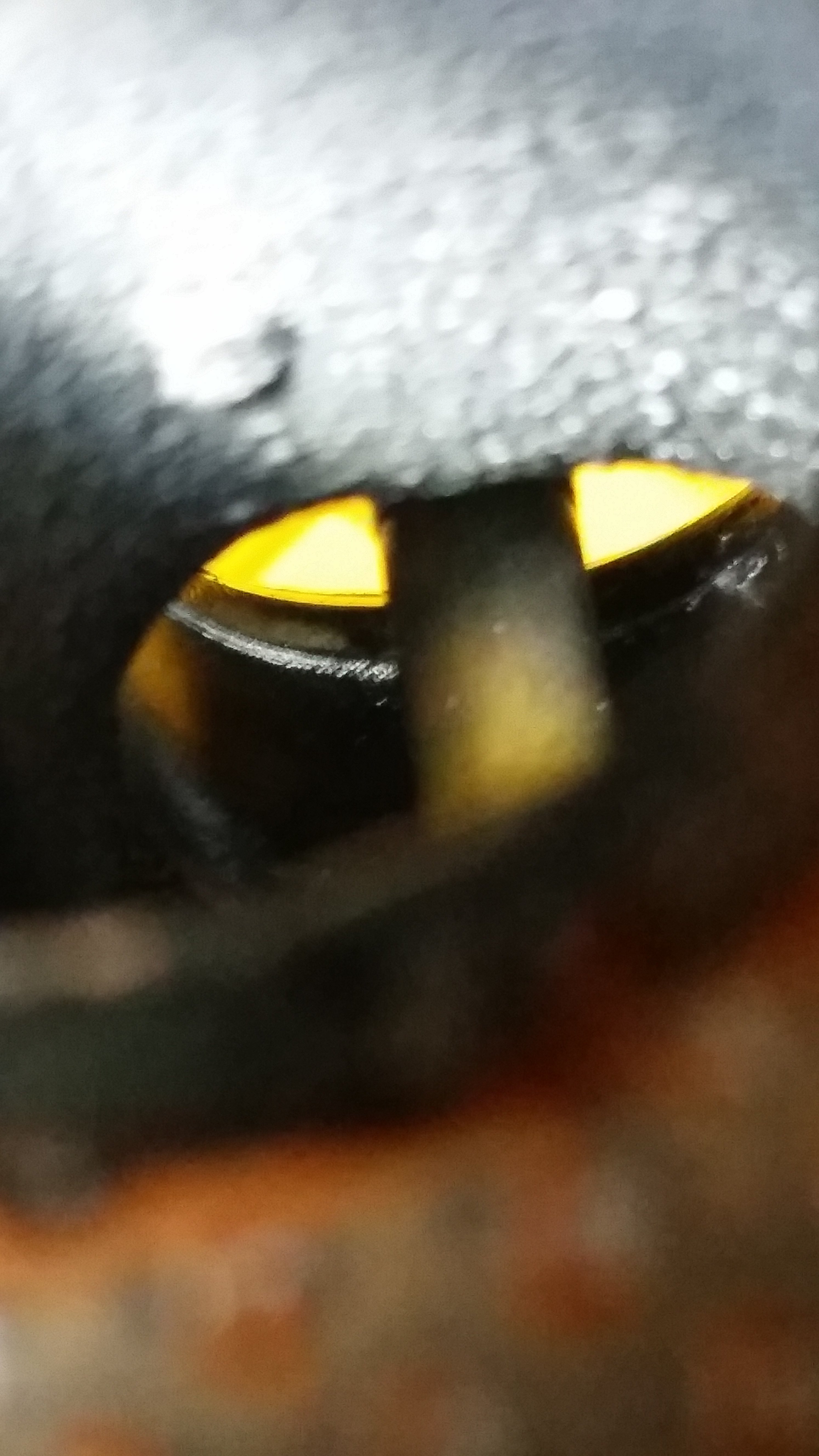 20180715_144512.jpg
