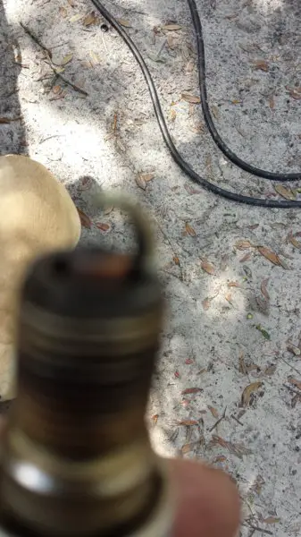 20180925_122153.jpg