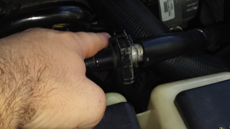 20180926_162356.jpg