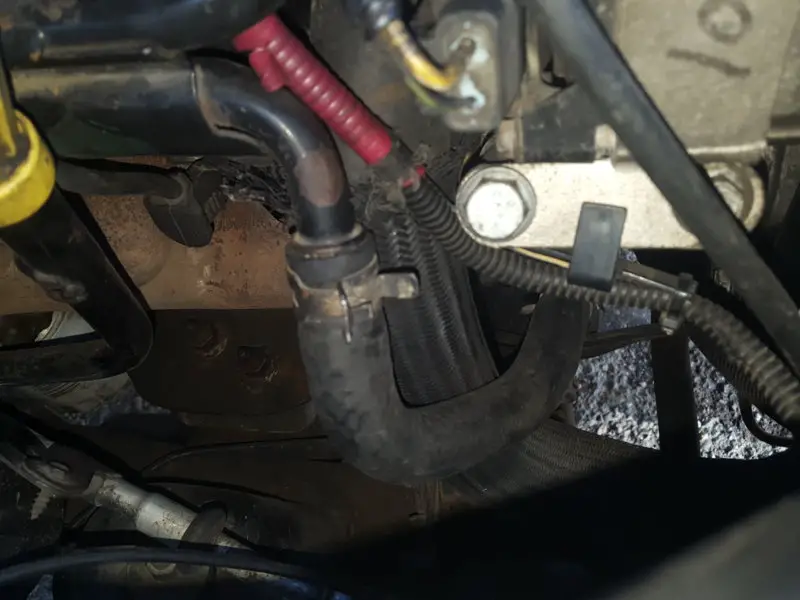 20180926_164359.jpg