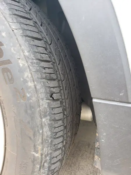 20190115_153801.jpg