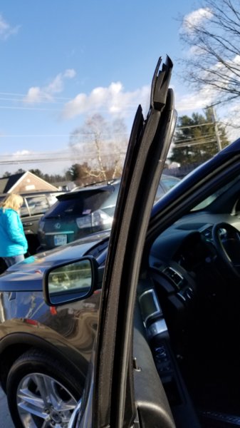 20190125_093637.jpg