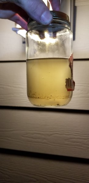 20190201_204529.jpg