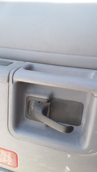 20190406_120100.jpg