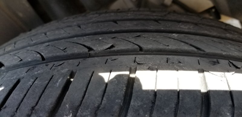 20190406_122056.jpg