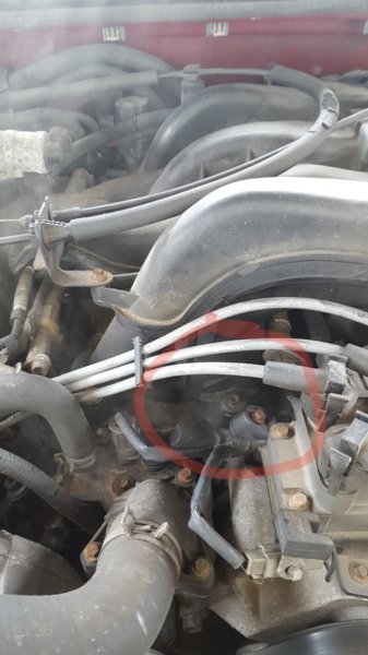 20190430_155127.jpg
