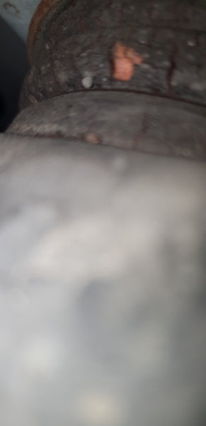 20190623_134854.jpg