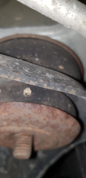 20190623_135048.jpg