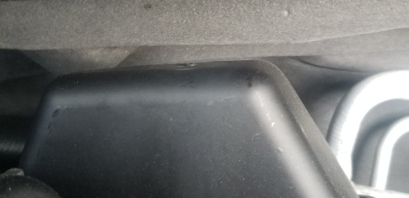 20191004_074828.jpg