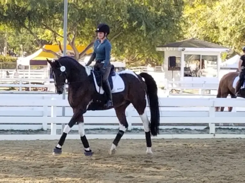 20191025_160433.jpg