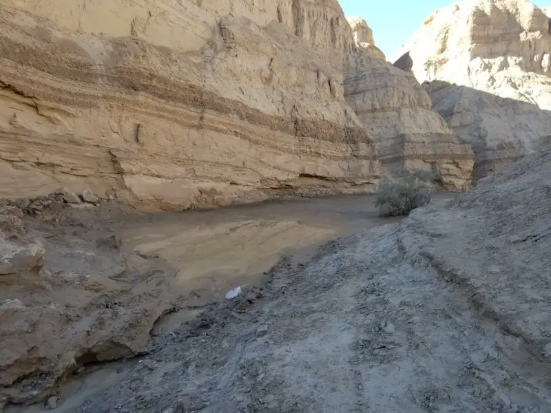 20191211_130446.jpg