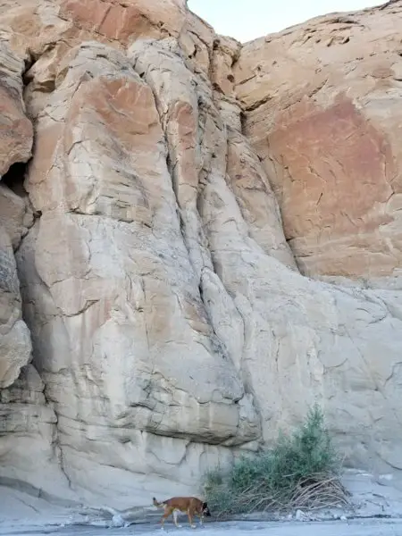 20191212_152223.jpg