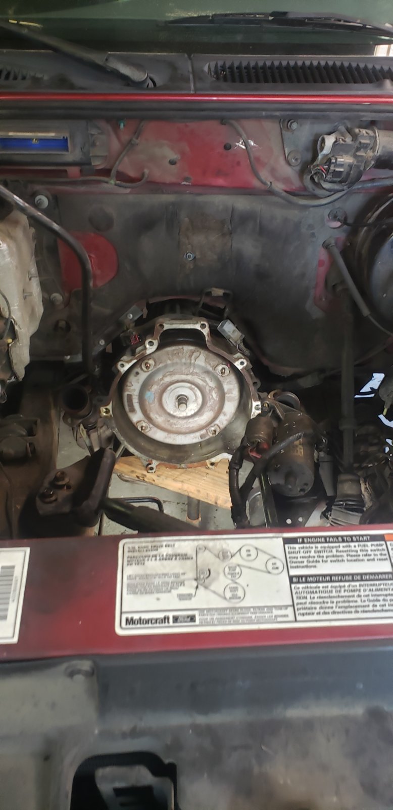 20200414_175728.jpg