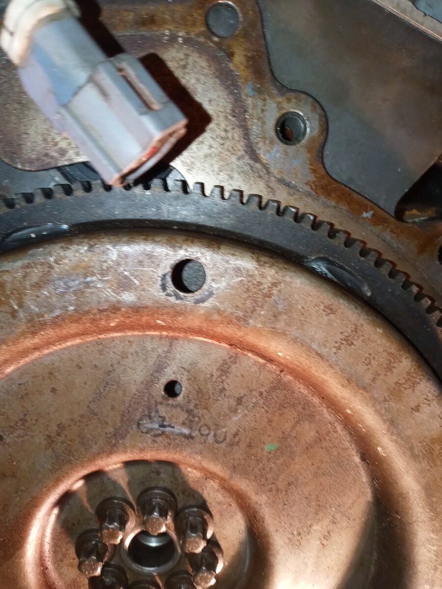 20201211_141212.jpg