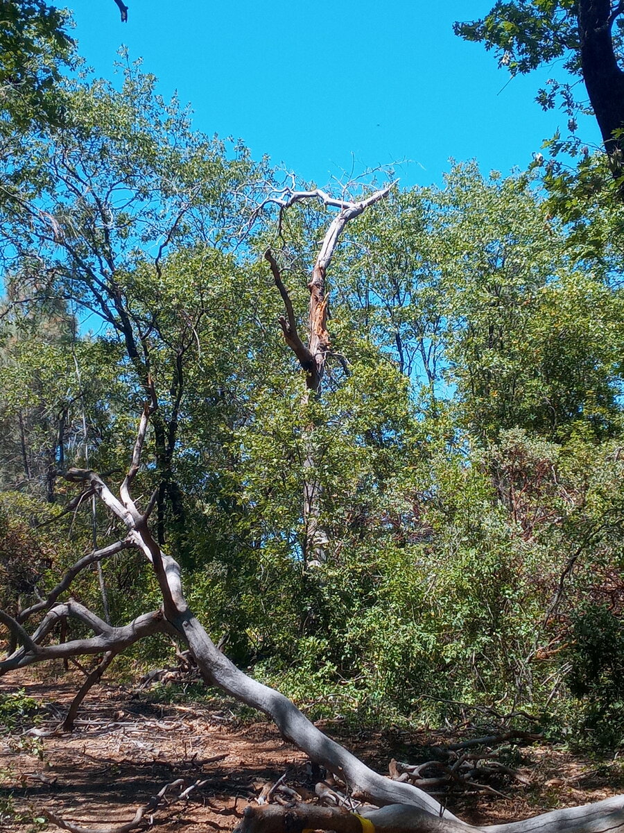 20210623_143422.jpg