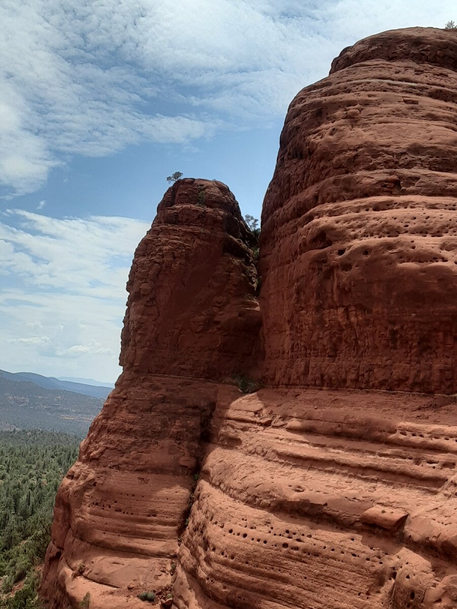 20210717_141613.jpg