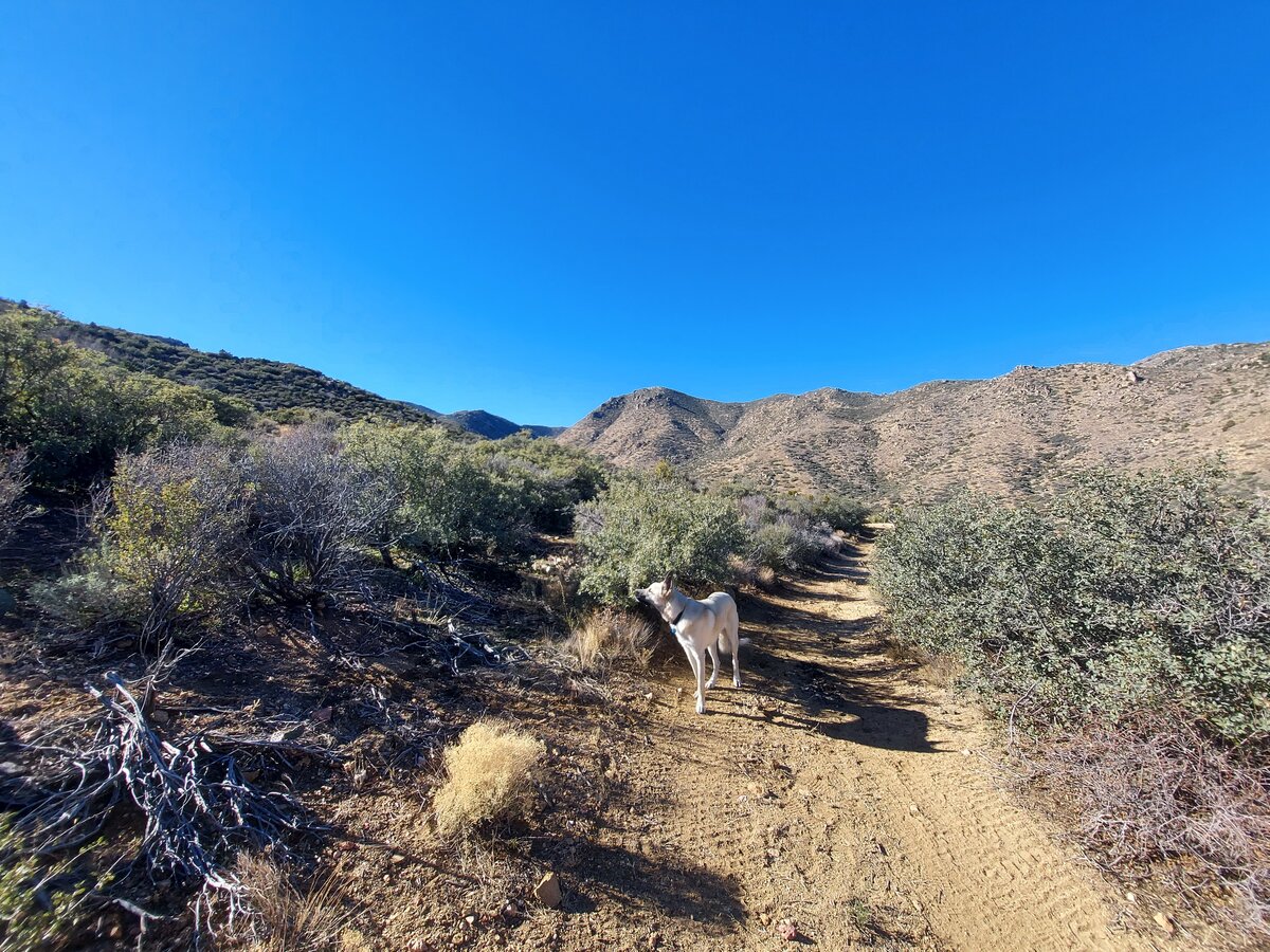 20220123_140147.jpg