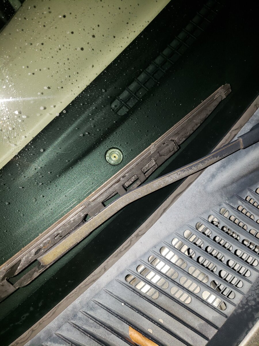 20221106_203910.jpg