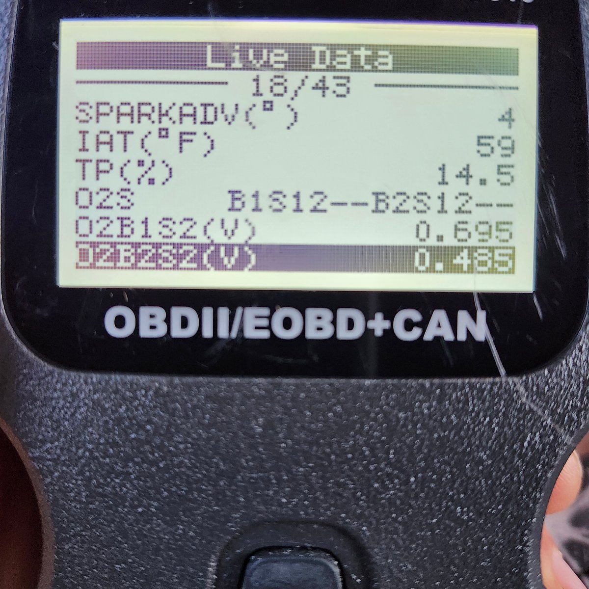 20241025_165457.jpg