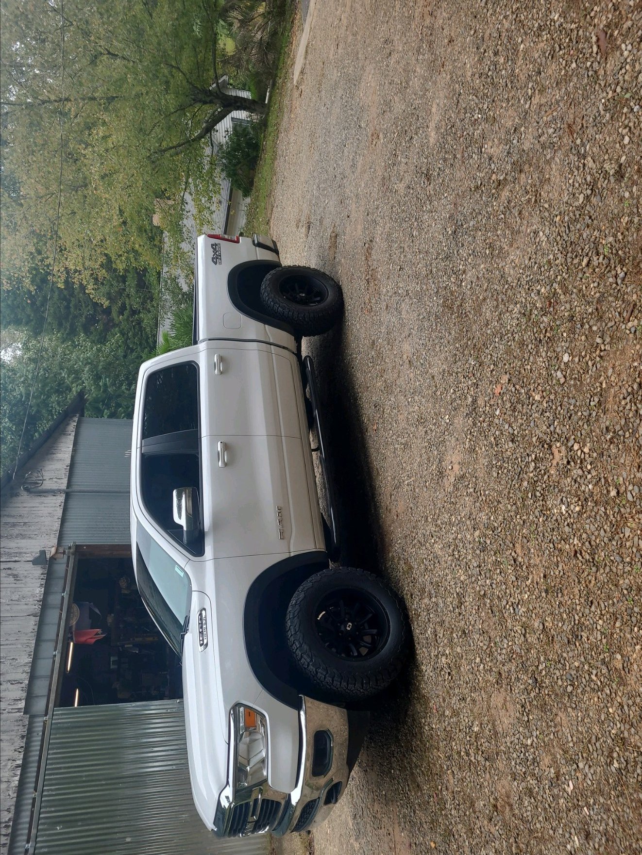 21 Ram.jpg