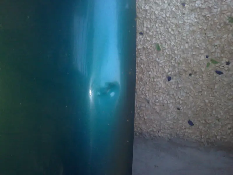 21102010376.jpg