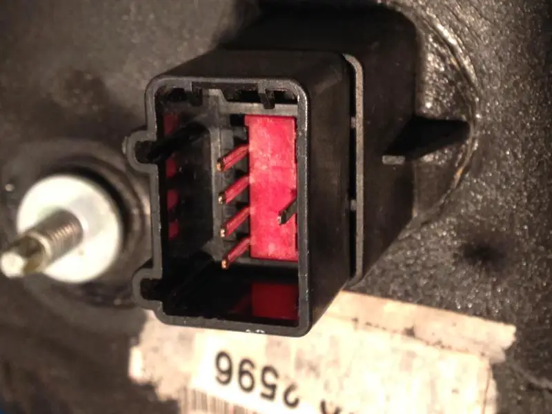 23857495ek.jpg
