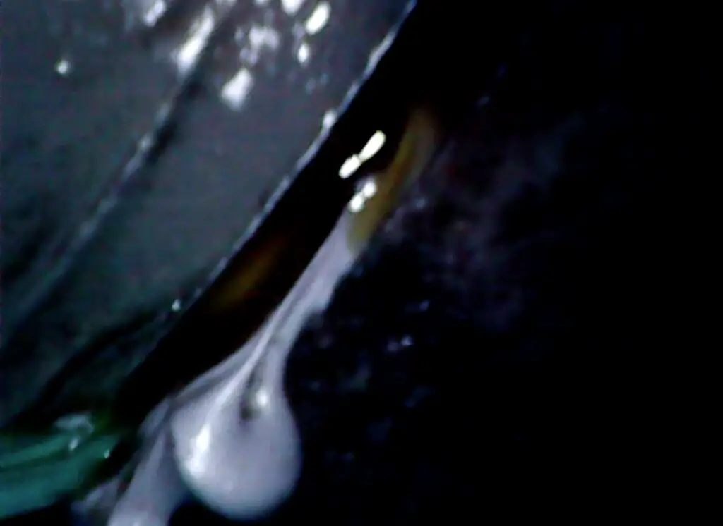28413495019_408849c867_b.jpg