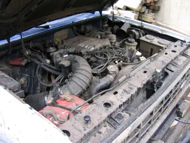 2893mud1.jpg
