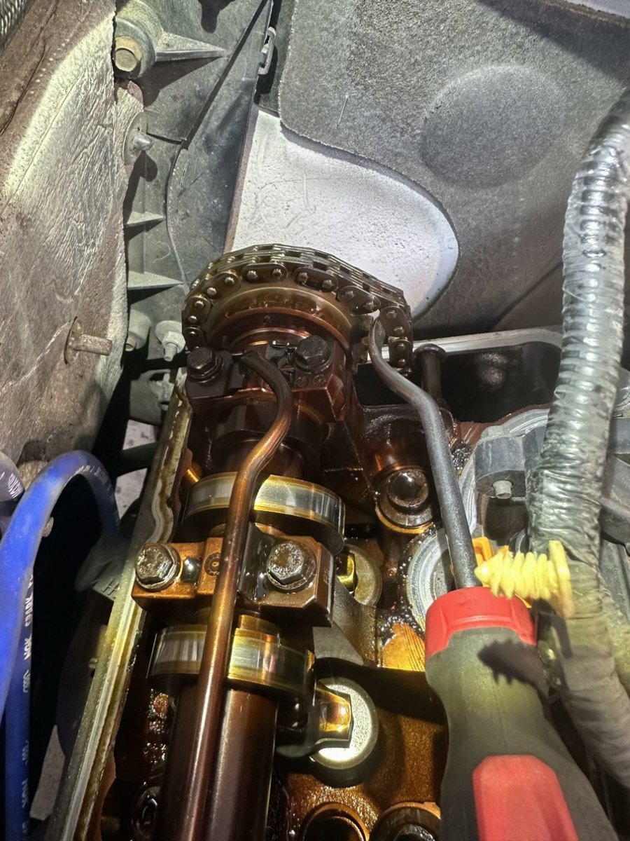 3 - rear  timing chain.jpg