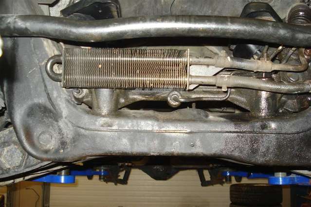 338.jpg