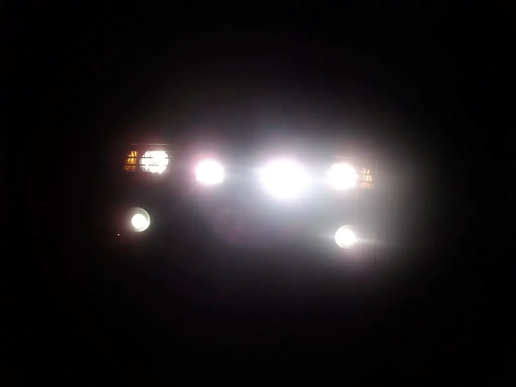 38373870030_large.jpg