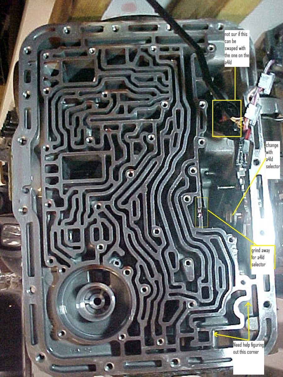 38612820007_large.jpg