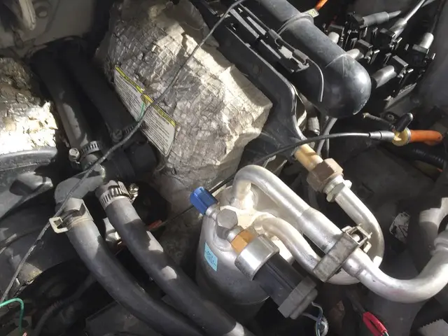3C65DAF9-2E55-481B-9E31-E7947B9528B2.jpg