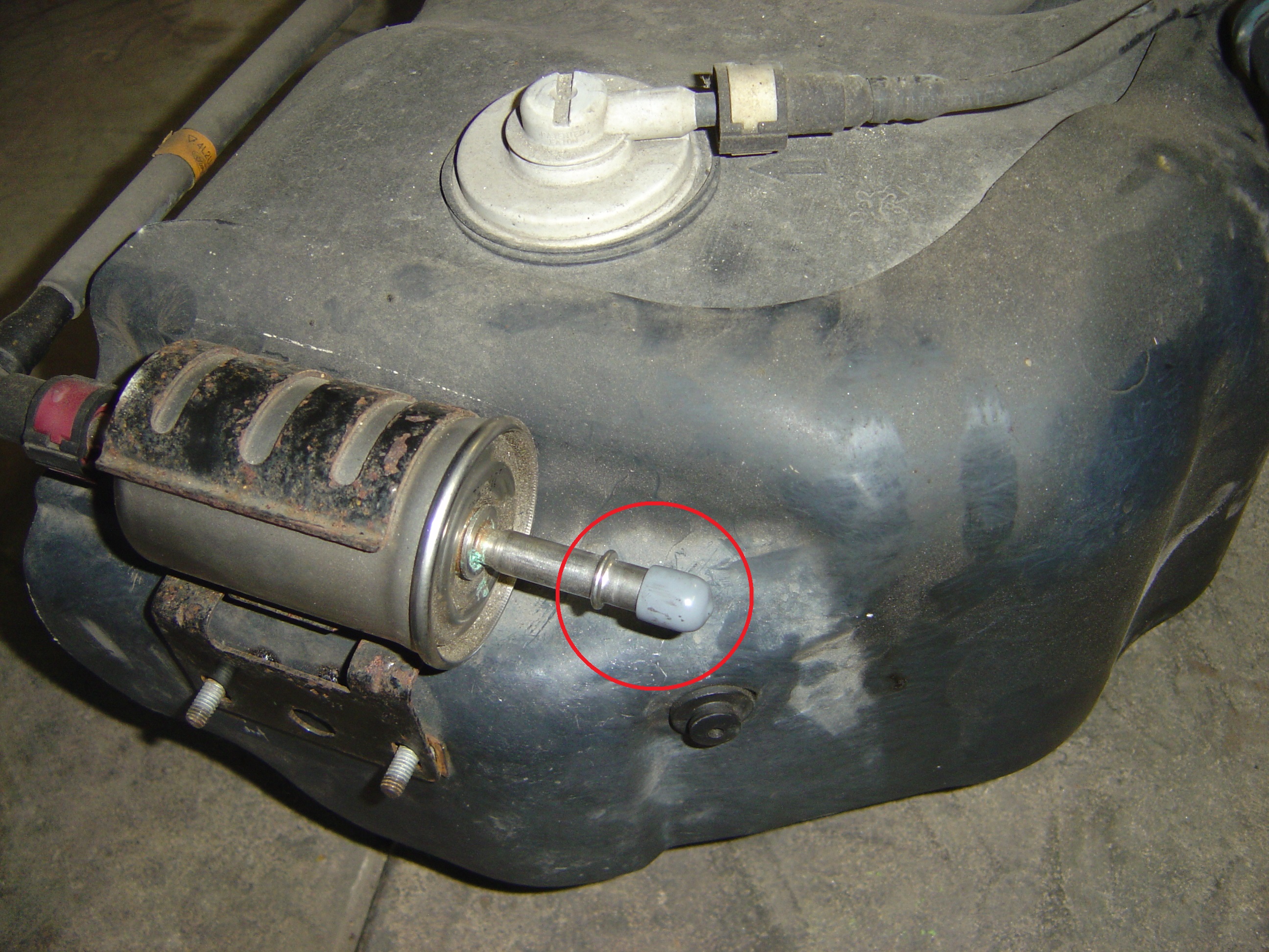 4 Fuel Pressure Line At Filter.JPG