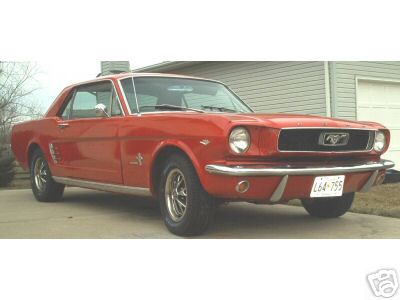 415666_Mustang01.jpg
