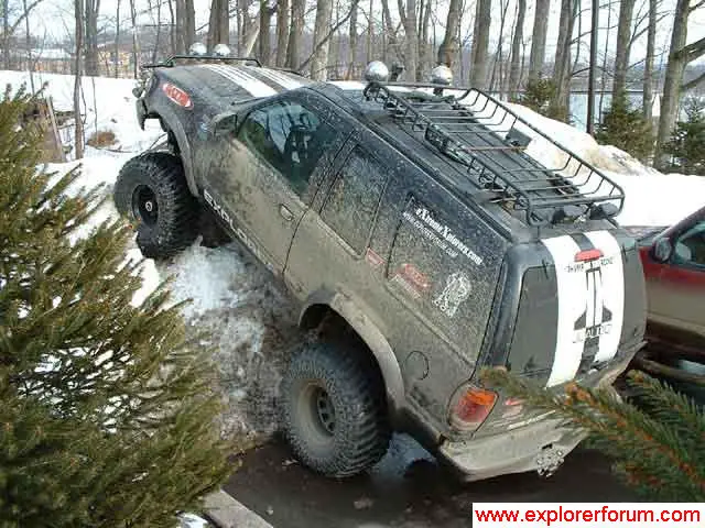 4156lizard_parking.jpg