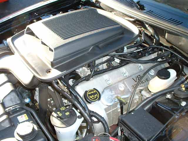 4156macheng4.jpg